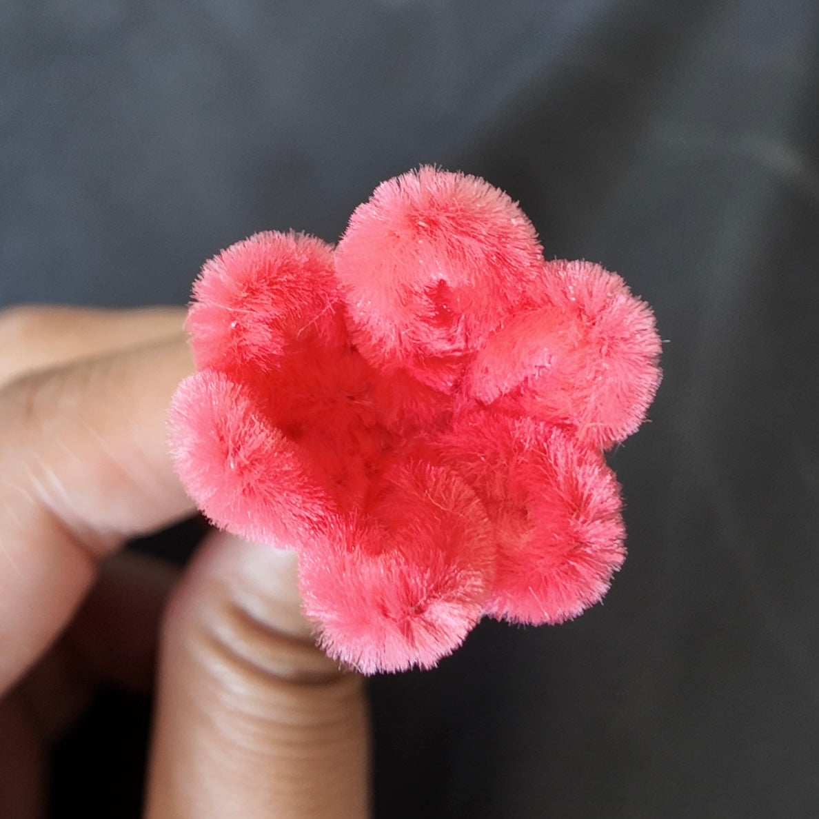 Mini bundel