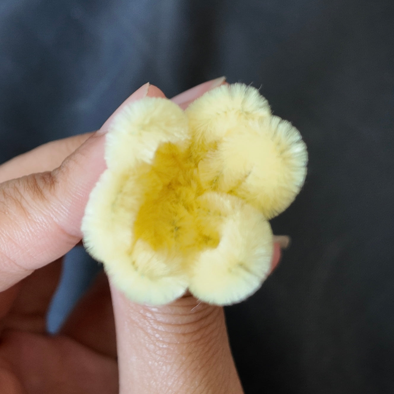 Mini bundel