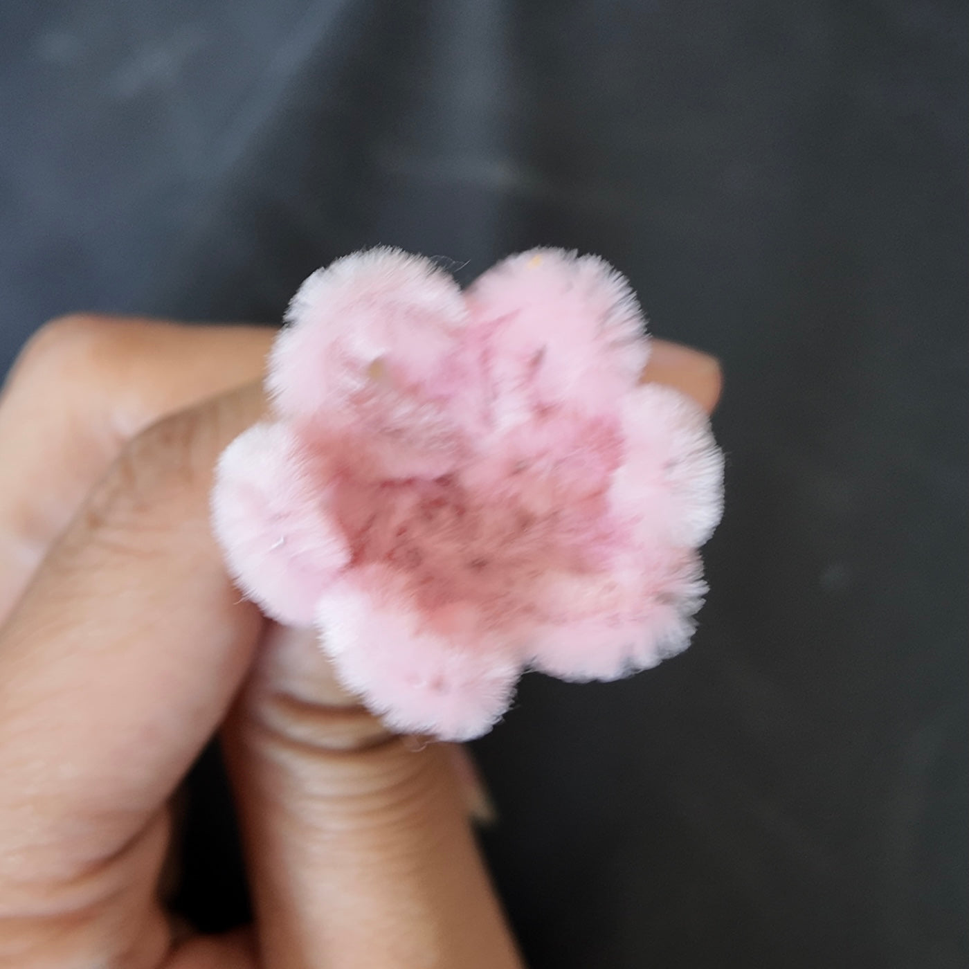Mini bundel