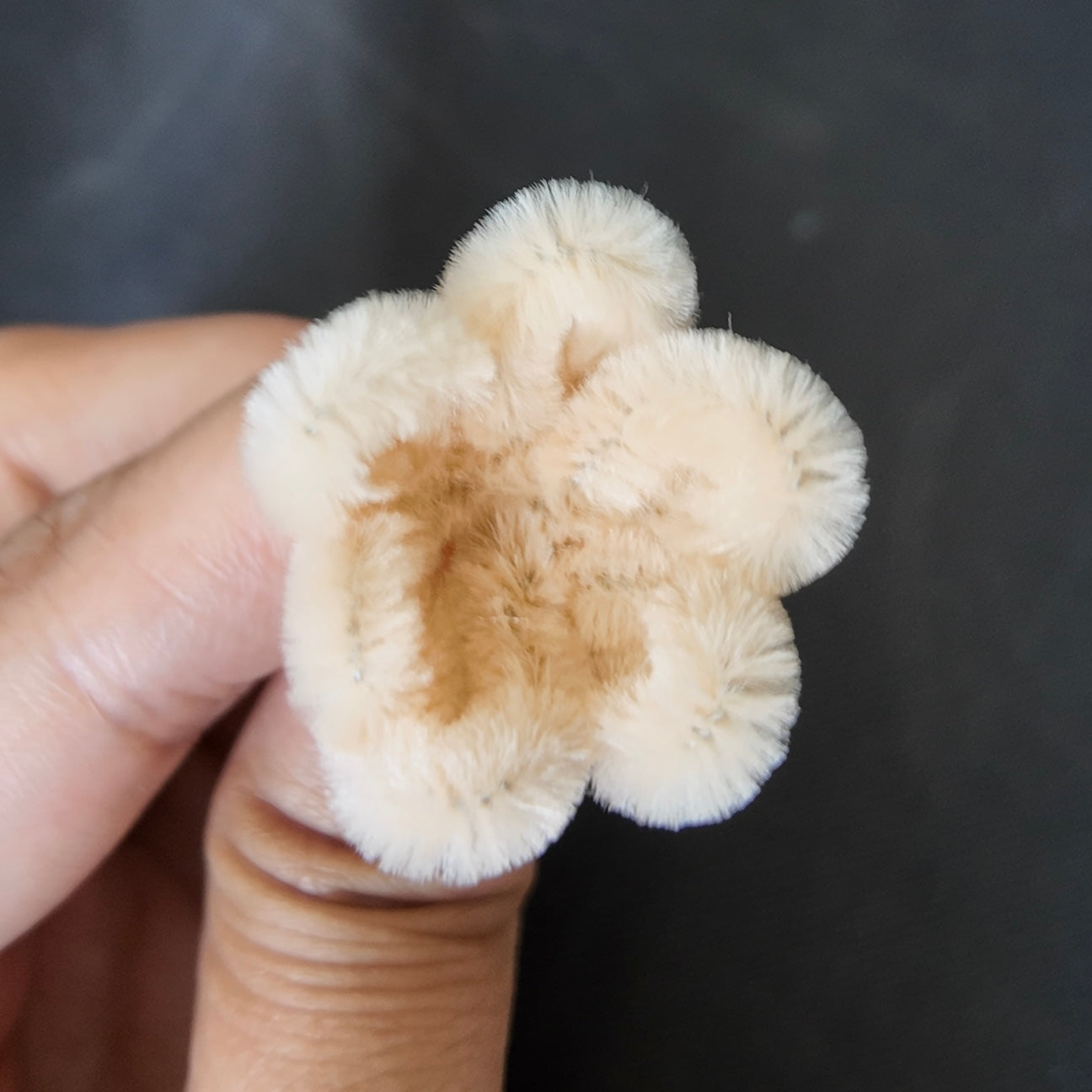 Mini bundel