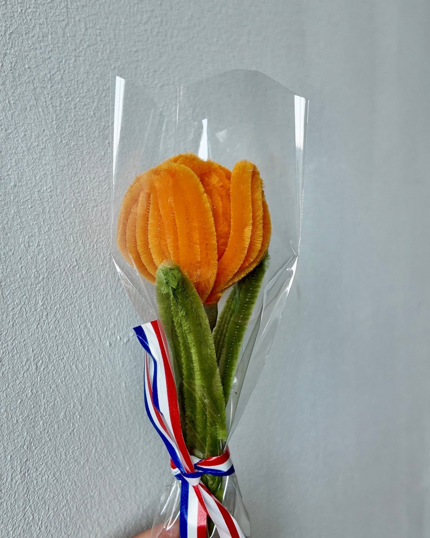 Tulp